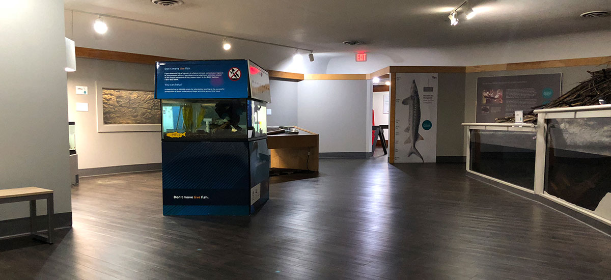 Hallmark Facility Services means<br/>cleaning done right and on schedule.